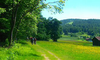 Wanderungen rund um Rattenberg